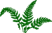 Meadow Valley Properties, Thetis Island Gulf Islands British Coulmbia Canada fern logo.